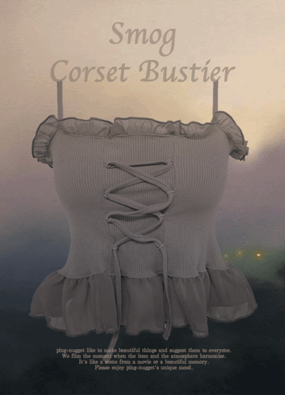 Smog Corset bustier (4 colors)